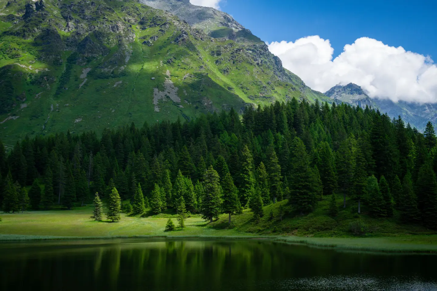 nature