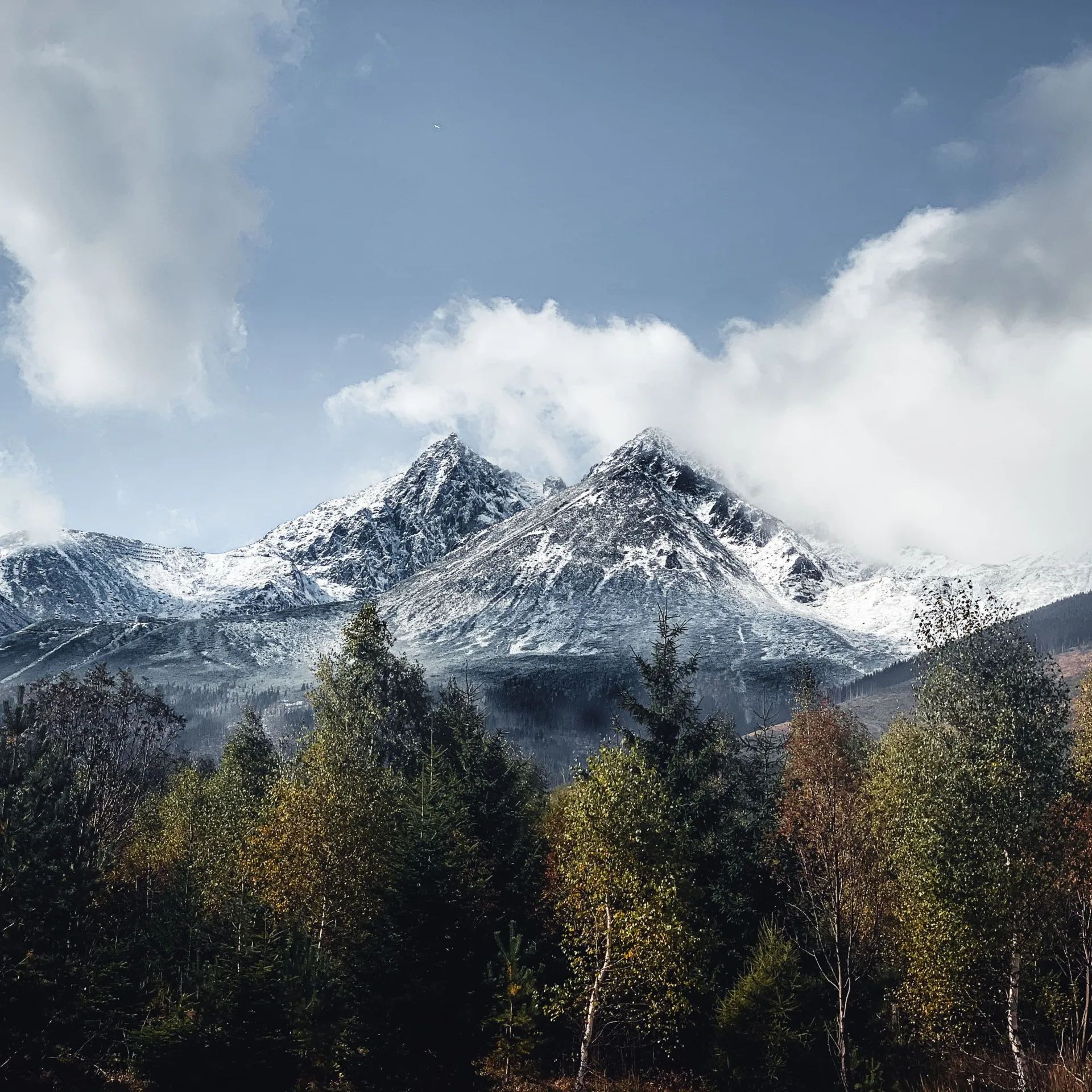 nature