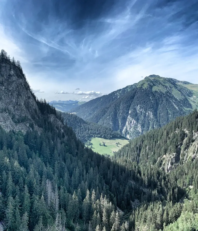 nature