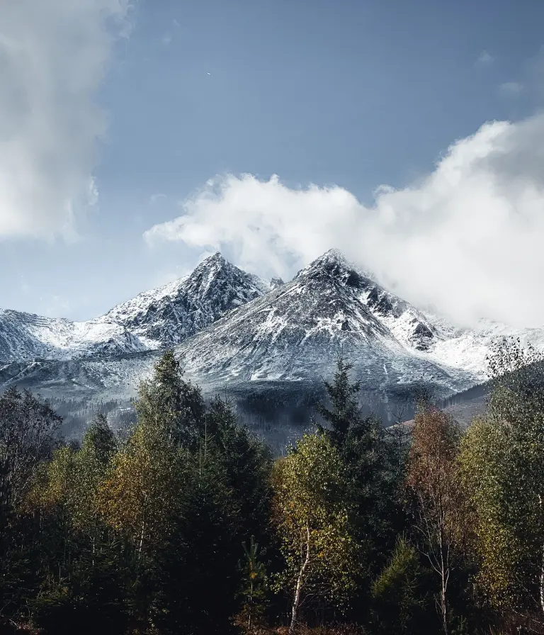 nature